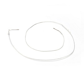 Sample Loop (50&micro;l) product photo