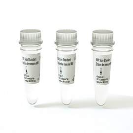 Molecular Weight Sizing Standard - 3 Pack product photo